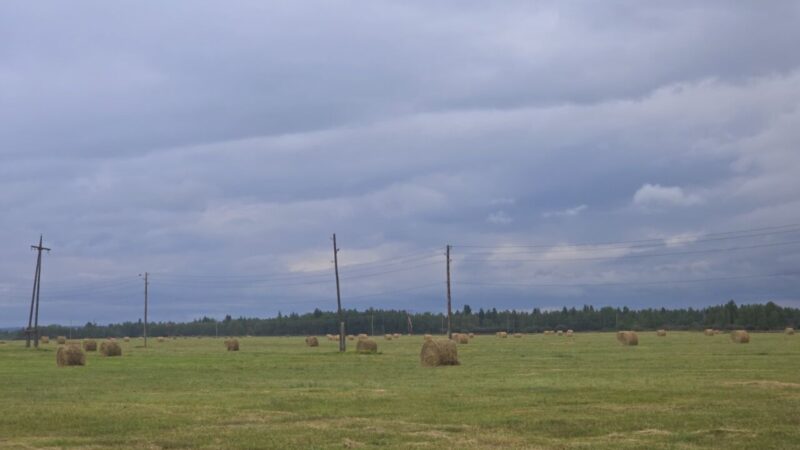 PHOTO-2025-07-24-06-02-02(1)